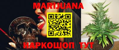 шишки Краснознаменск
