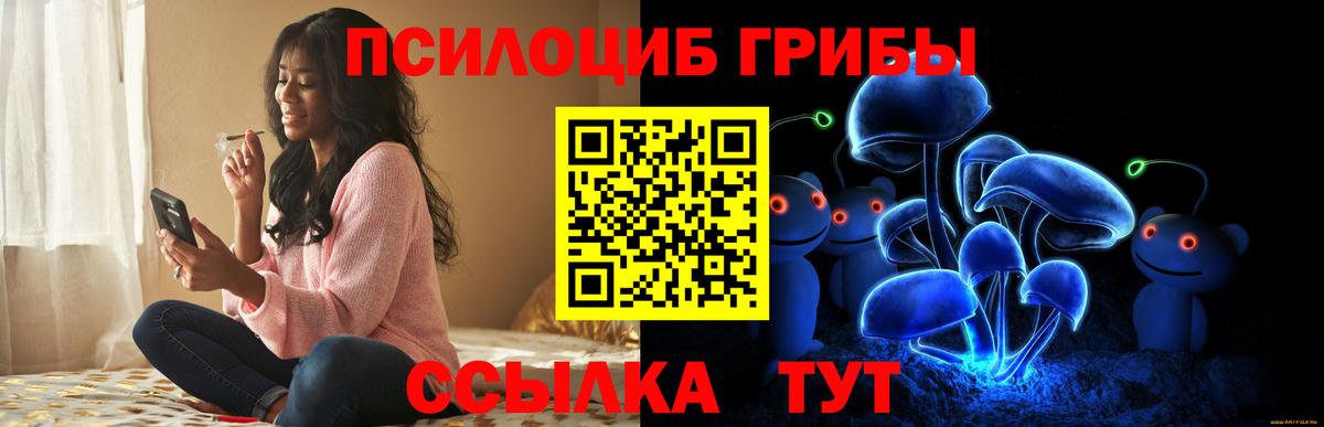Галлюциногенные грибы Magic Shrooms Кубинка